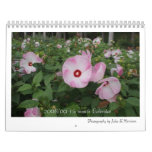 2008/09 15 month Calendar, Photograph...