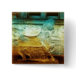 2008 Amber/Turquoise 3 Horse Square Button