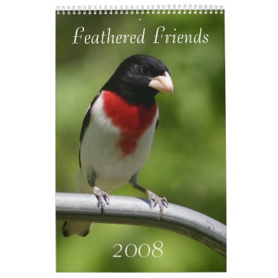 2008 Bird Calendar by amwesley