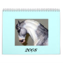 2008 calendars