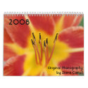2008 Calendar by Diana Carroll by dbang1 2008 Calendar by Diana Carroll