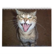 2008 Cats Calendar, No Names