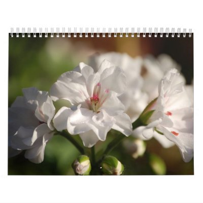 2008 Flowers Photo Calendar by nevapb