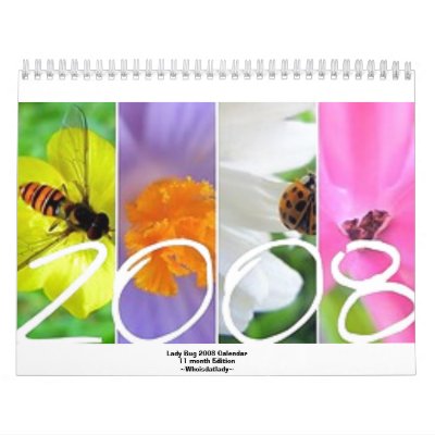 2008 Lady Bug 11 month Edition Calendar by whoisdatlady