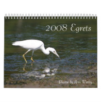 2008 Little Blue Heron calendars by amwesley 2008 Little Blue Heron calendars
