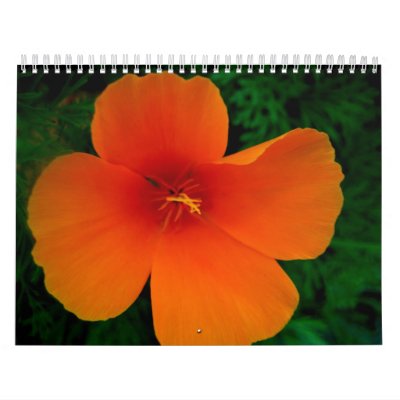 2008 Poppy Calendar - Customized by ncluce