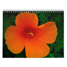 2008 Poppy Calendar - Customized