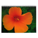 2008 Poppy Calendar - Customized