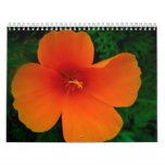 2008 Poppy Calendar - Customized