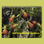 2008 Sierra Mountain Wildflower Calendar