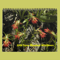 2008 Sierra Mountain Wildflower Calendar