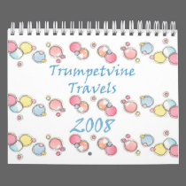2008 Sketch Calendar calendars