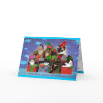 2008HolidayCardTealFlat - Customized by Tealtreasures 2008HolidayCardTealFlat - Customized