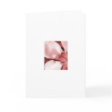 20090626_116 cards