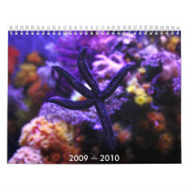 2009 ~ 2010 calendar