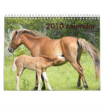 2009-7-23 Wright Corolla 00118, 2010 calendar