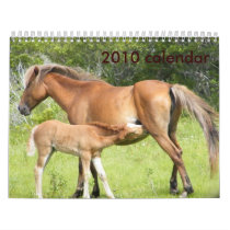 2009-7-23 Wright Corolla 00118 Calendars