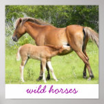 2009-7-23 Wright Corolla 00118, wild horses Posters