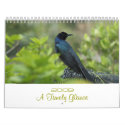 2009 A Timely Glance Calendar