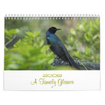 2009 A Timely Glance Calendar