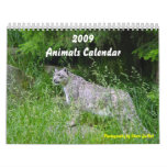 2009  Animals Calendar