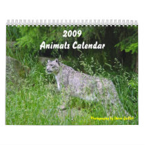 2009  Animals Calendar
