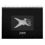 2009 Baby Calendar