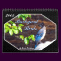 2009 Backyard  Birds Calendar