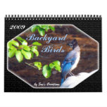 2009 Backyard  Birds Calendar