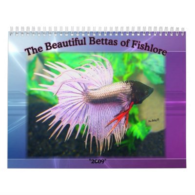 2009 Betta fish calendar by MartinisMommy
