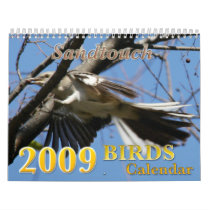 2009 Birds Calendar - Wildlife Photography