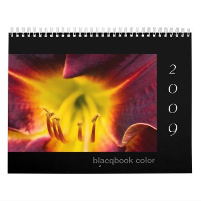 2009 blacqbook color calendar by blacqbook