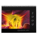 2009 blacqbook color calendar by blacqbook 2009 blacqbook color calendar