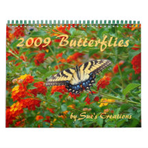 2009 Butterflies Calendar