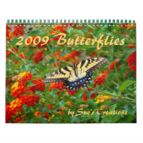 2009 Butterflies Calendar