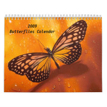 2009 Butterflies Calendar
