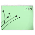 2009 by Little Gray Pixel Calendars
