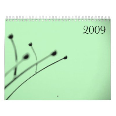 2009 by Little Gray Pixel Calendars by littlegraypixel