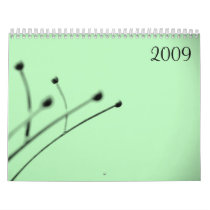 2009 by Little Gray Pixel calendars