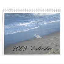 2009 Calendar