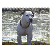 2009 CALENDAR