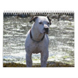 2009 calendars