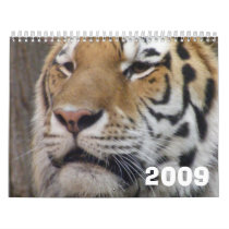 2009 Calendar