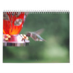 2009 Calendar