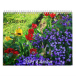 2009 Calendar,