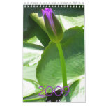 2009 Calendar