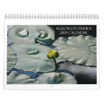 2009 Calendar