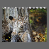 2009 Calendar