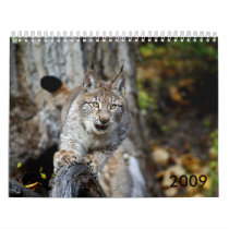 2009 Calendar by Tberling 2009 Calendar