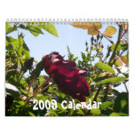 2009 Calendar